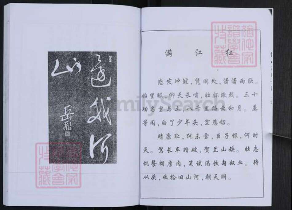 山东省淄博市博山区岳氏族谱-博山东门岳氏支谱.pdf电子版预览图3