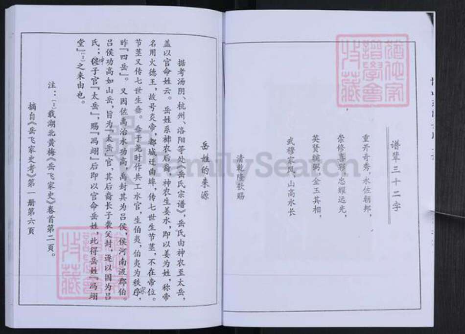 山东省淄博市博山区岳氏族谱-博山东门岳氏支谱.pdf电子版预览图4