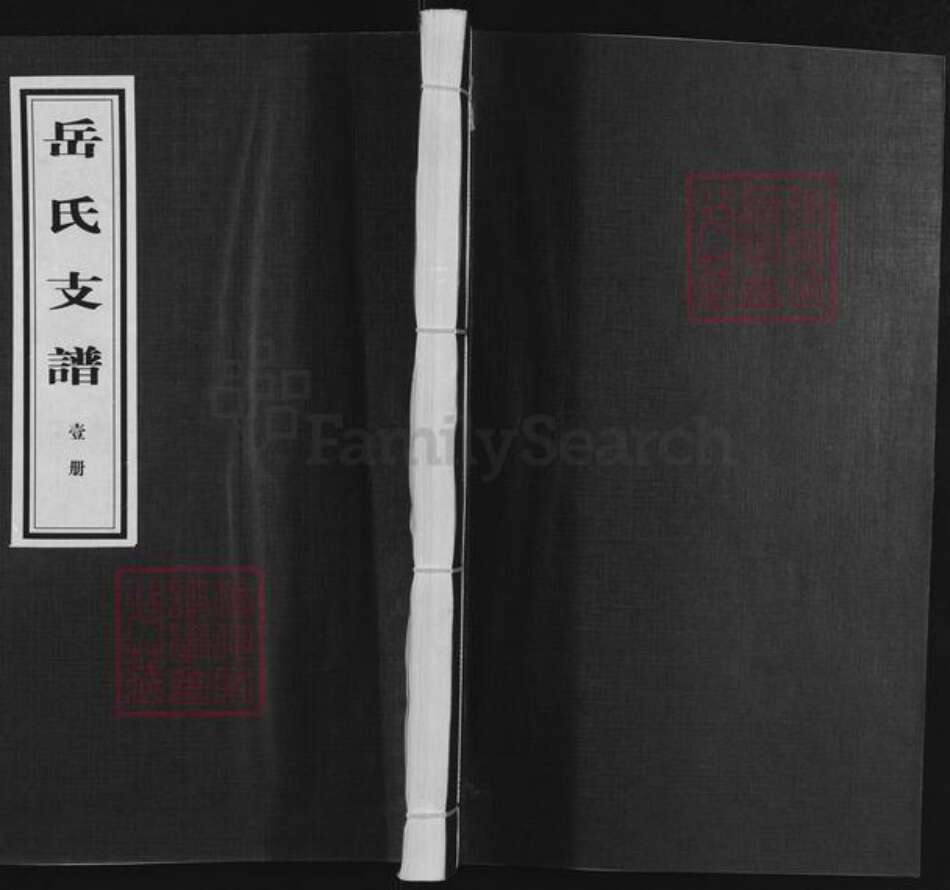 山东省临沂市沂水县岳氏族谱-岳氏支谱.pdf电子版缩略图