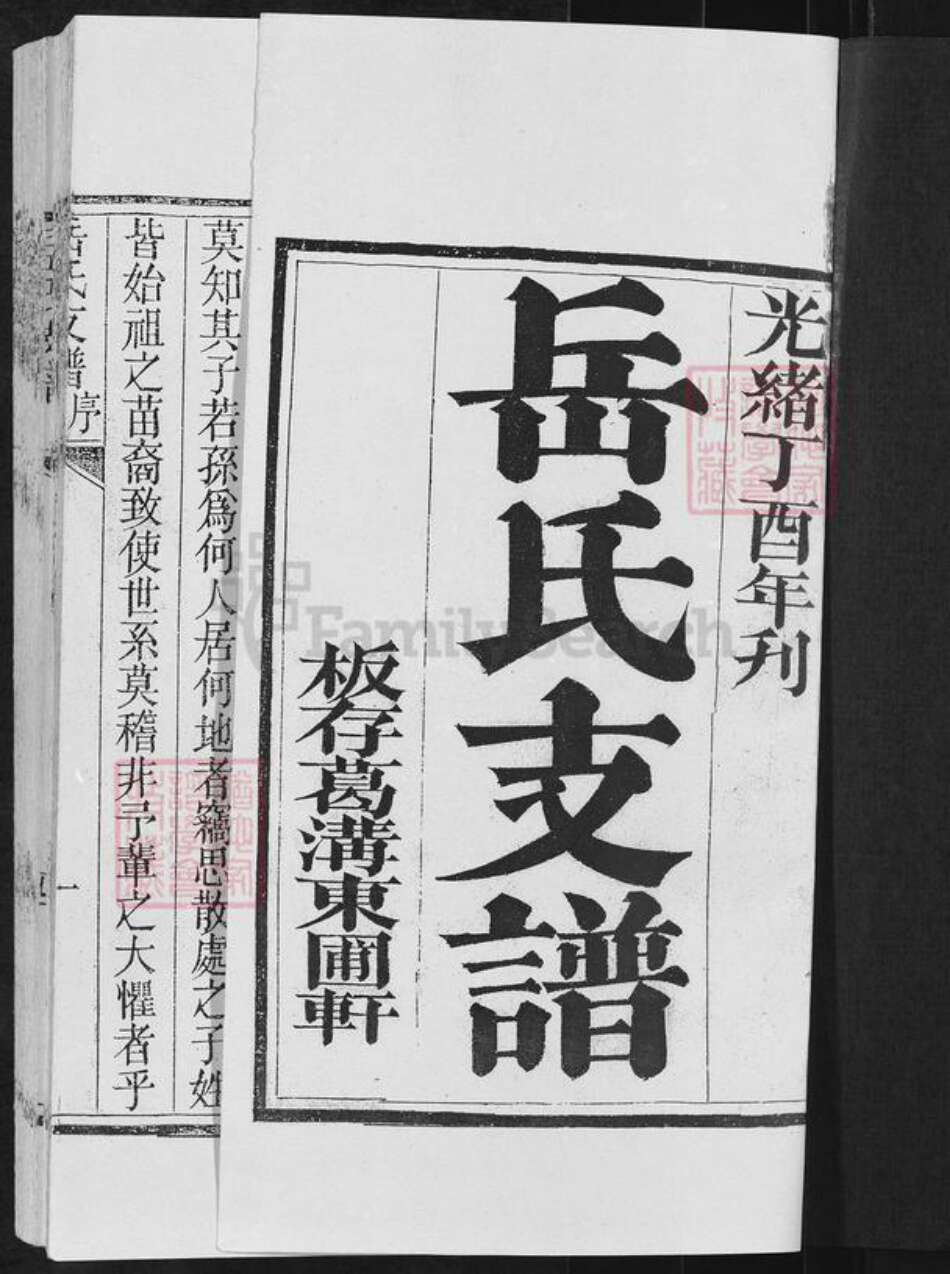 山东省临沂市沂水县岳氏族谱-岳氏支谱.pdf电子版预览图1