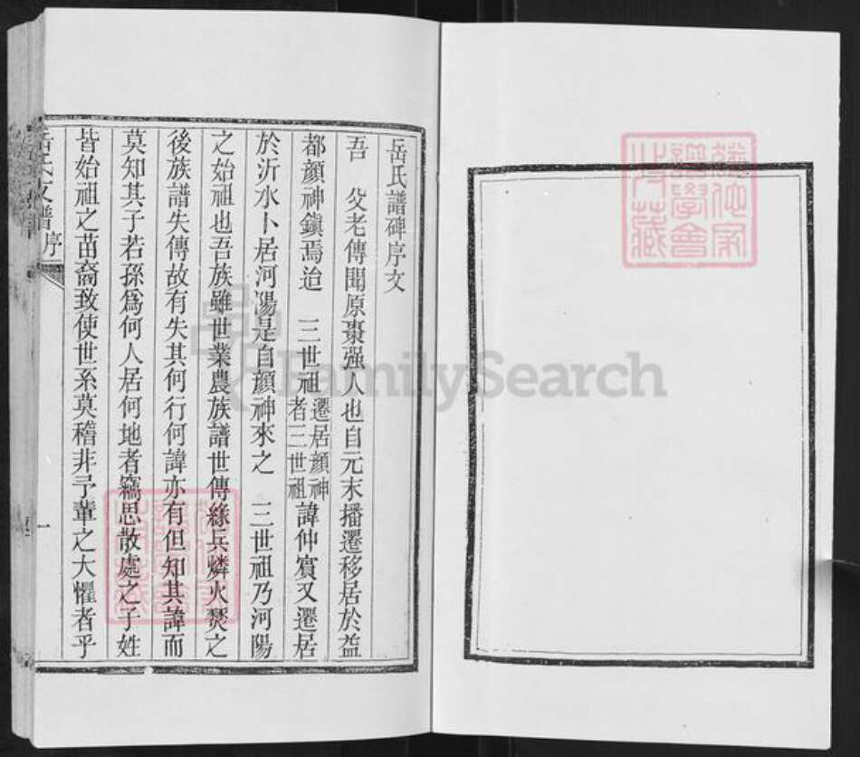 山东省临沂市沂水县岳氏族谱-岳氏支谱.pdf电子版预览图2