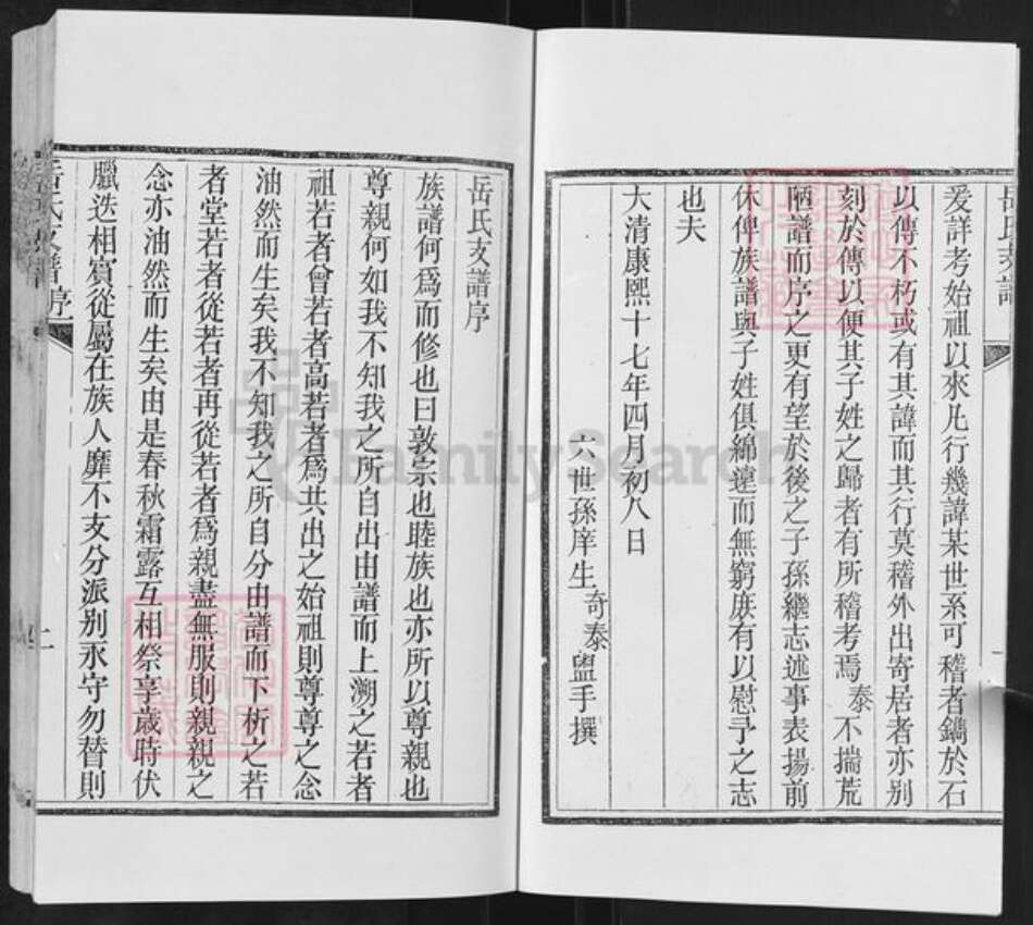 山东省临沂市沂水县岳氏族谱-岳氏支谱.pdf电子版预览图3