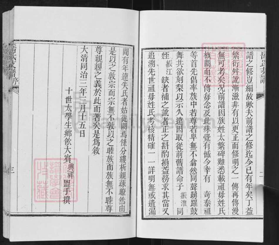 山东省临沂市沂水县岳氏族谱-岳氏支谱.pdf电子版预览图4