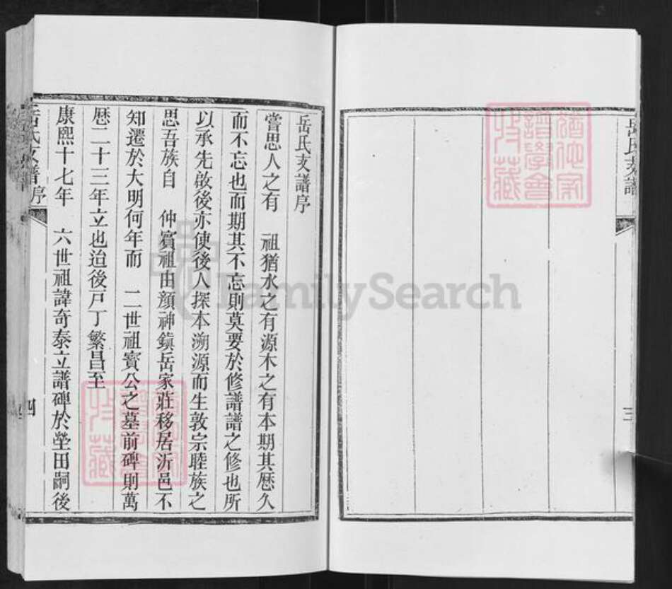 山东省临沂市沂水县岳氏族谱-岳氏支谱.pdf电子版预览图5