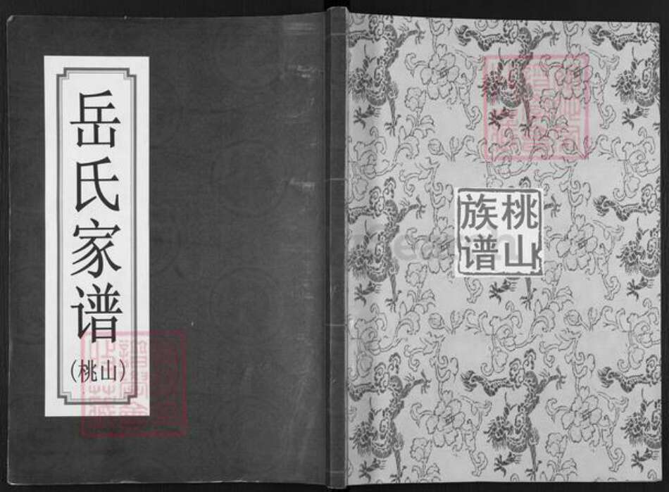 安徽省宿州市埇桥区岳氏精忠堂族谱-岳氏家谱.桃山.pdf电子版缩略图