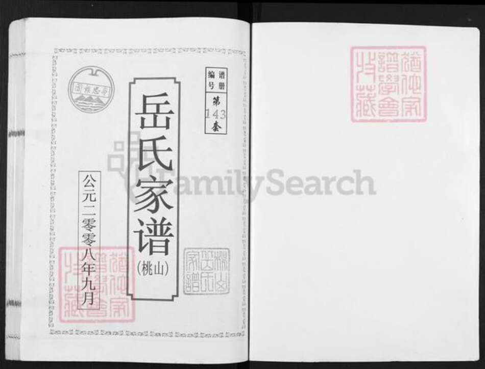 安徽省宿州市埇桥区岳氏精忠堂族谱-岳氏家谱.桃山.pdf电子版预览图1