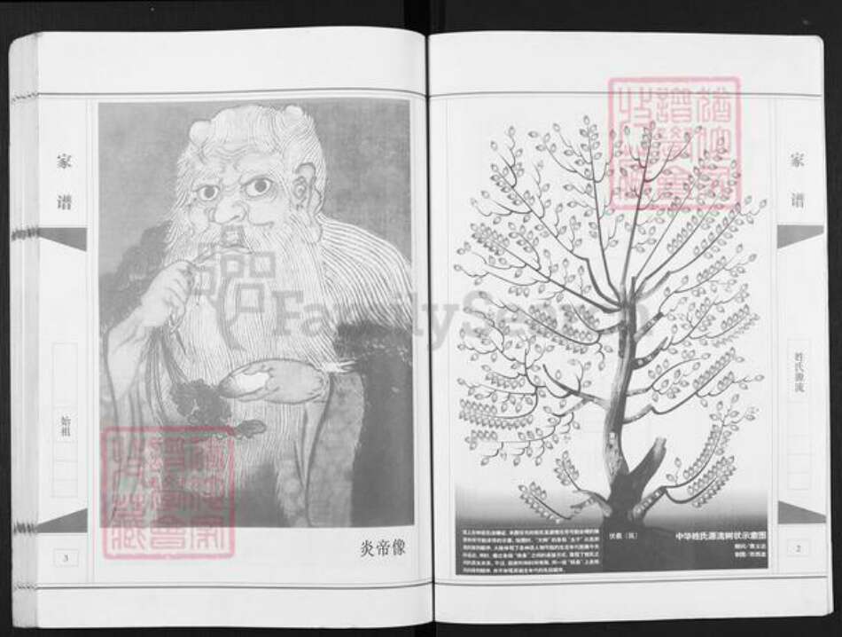 安徽省宿州市埇桥区岳氏精忠堂族谱-岳氏家谱.桃山.pdf电子版预览图2