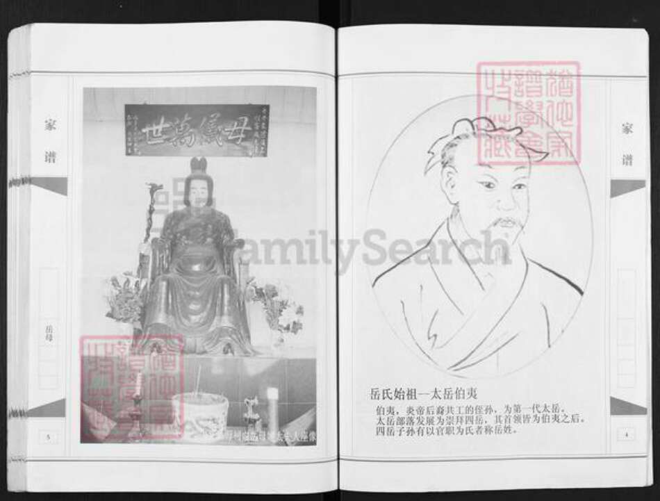 安徽省宿州市埇桥区岳氏精忠堂族谱-岳氏家谱.桃山.pdf电子版预览图3