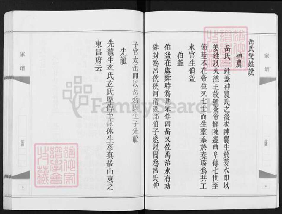 安徽省宿州市埇桥区岳氏精忠堂族谱-岳氏家谱.桃山.pdf电子版预览图5