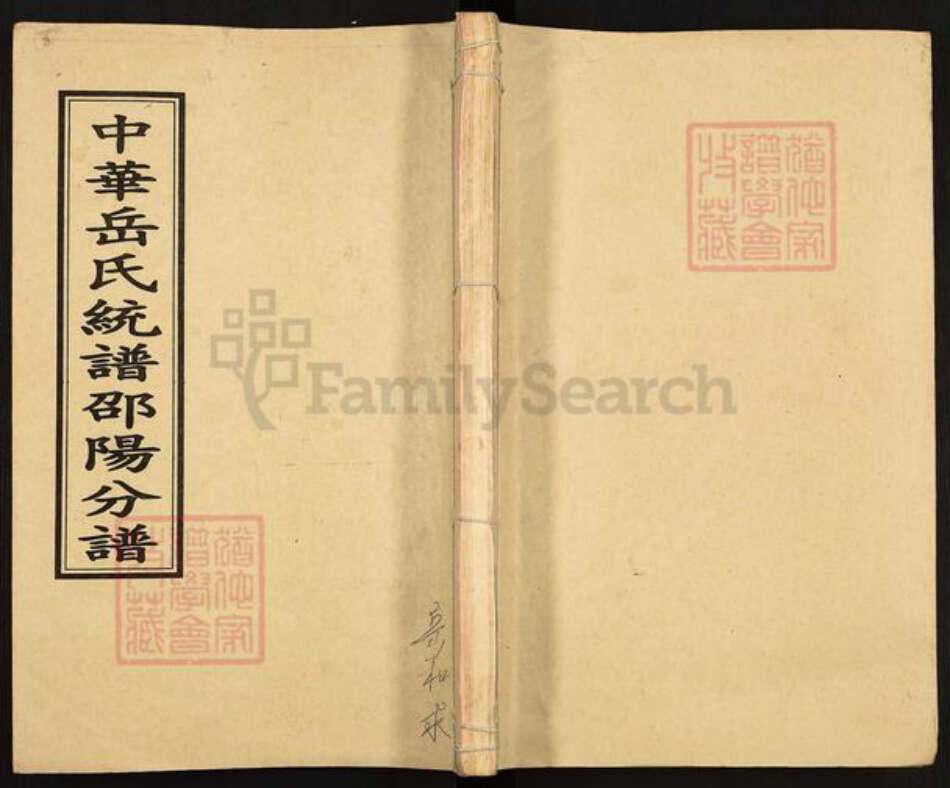 湖南省邵阳市岳氏精忠堂族谱-中华岳氏统谱邵阳分谱.pdf电子版缩略图