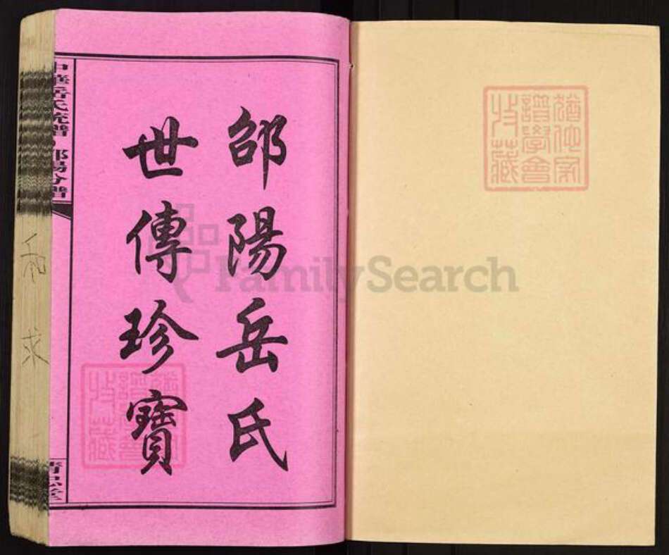 湖南省邵阳市岳氏精忠堂族谱-中华岳氏统谱邵阳分谱.pdf电子版预览图1