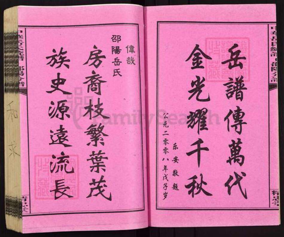 湖南省邵阳市岳氏精忠堂族谱-中华岳氏统谱邵阳分谱.pdf电子版预览图2