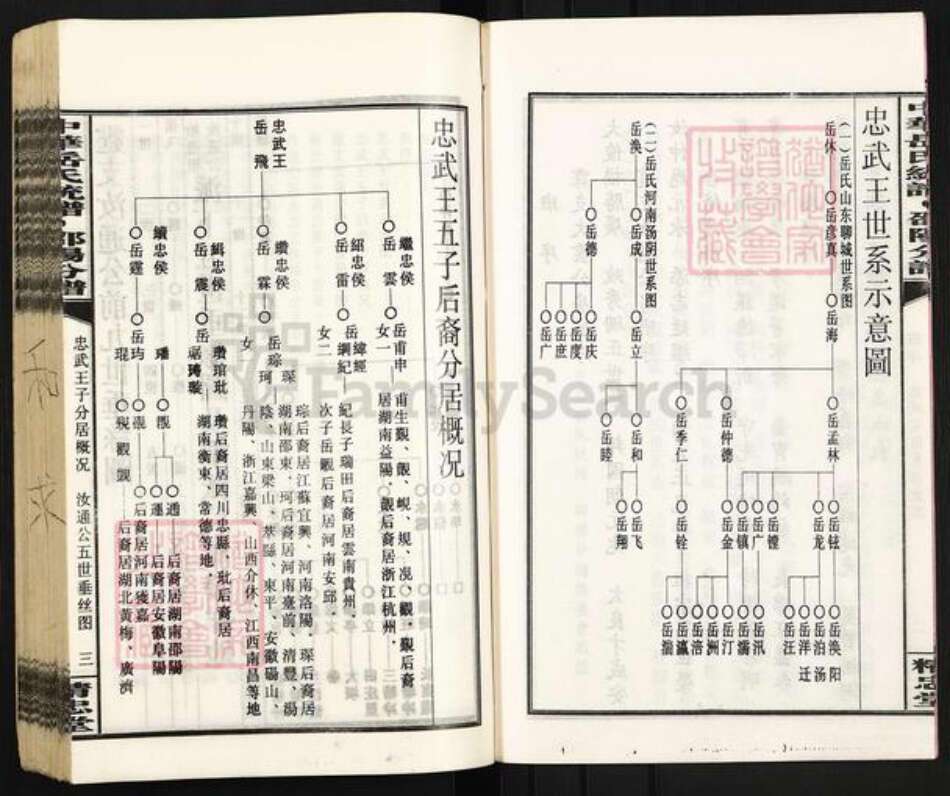 湖南省邵阳市岳氏精忠堂族谱-中华岳氏统谱邵阳分谱.pdf电子版预览图5