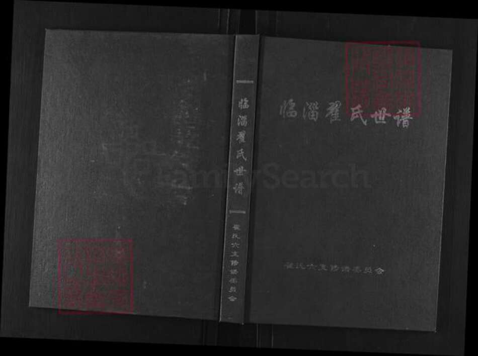 山东省淄博市临淄区翟氏族谱-临淄翟氏世谱.pdf电子版