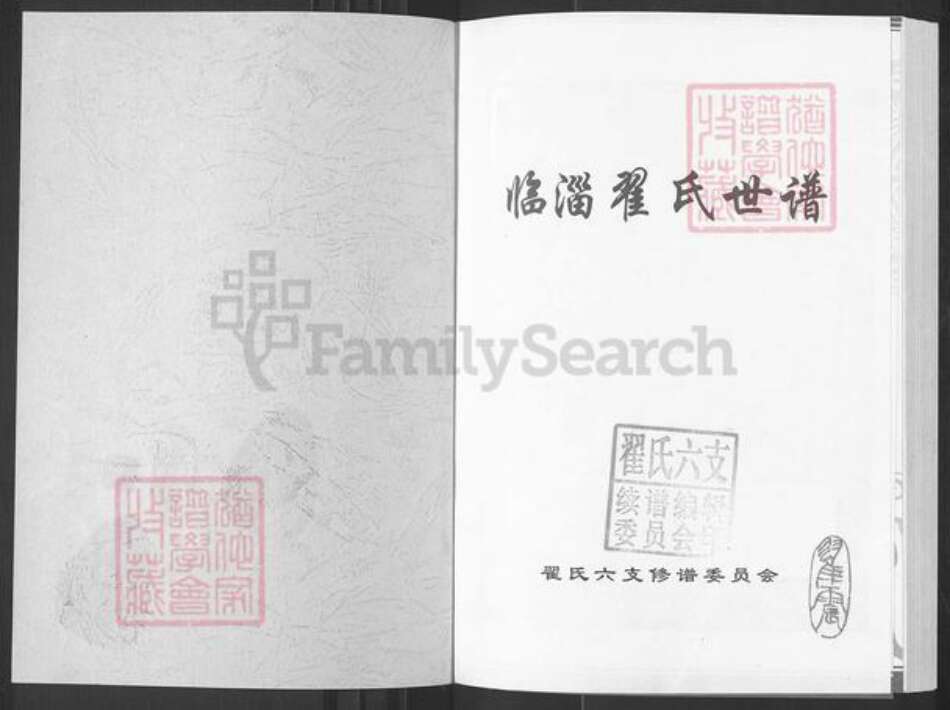 山东省淄博市临淄区翟氏族谱-临淄翟氏世谱.pdf电子版预览图1