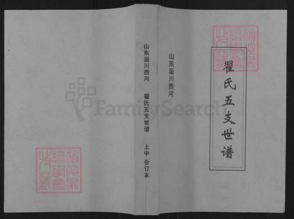 山东省淄博市博山区翟氏族谱-山东淄川西河翟氏五支世谱.pdf电子版