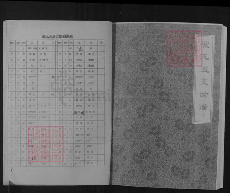 山东省淄博市博山区翟氏族谱-山东淄川西河翟氏五支世谱.pdf电子版预览图5