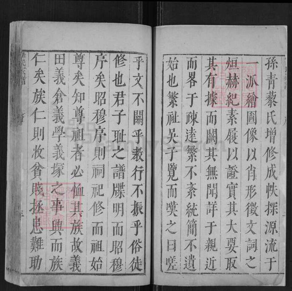 辽宁省辽阳市翟氏族谱-翟氏家谱.pdf电子版预览图2