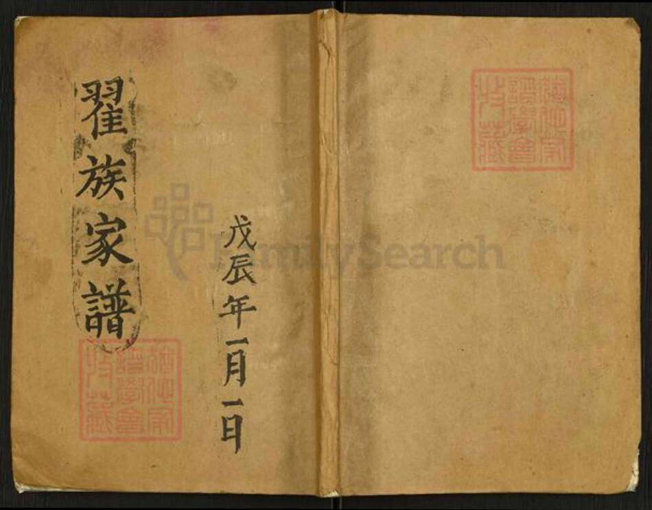 河南省南阳市南召县翟氏族谱-翟族家谱.pdf电子版