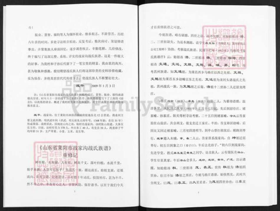 山东省烟台市莱阳市战氏族谱-战氏族谱.pdf电子版预览图2