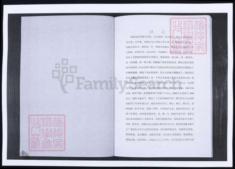 山东省烟台市莱阳市战氏族谱-山东莱阳战氏族谱.pdf电子版预览图1