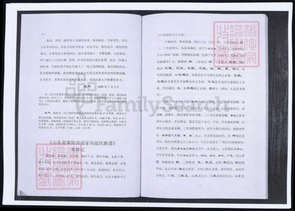 山东省烟台市莱阳市战氏族谱-山东莱阳战氏族谱.pdf电子版预览图2