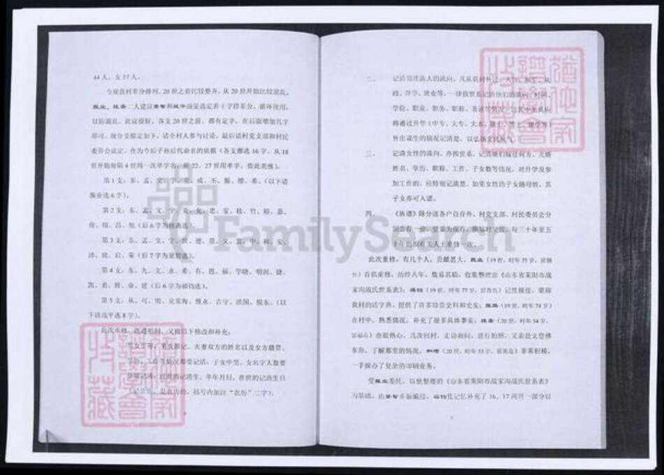 山东省烟台市莱阳市战氏族谱-山东莱阳战氏族谱.pdf电子版预览图4
