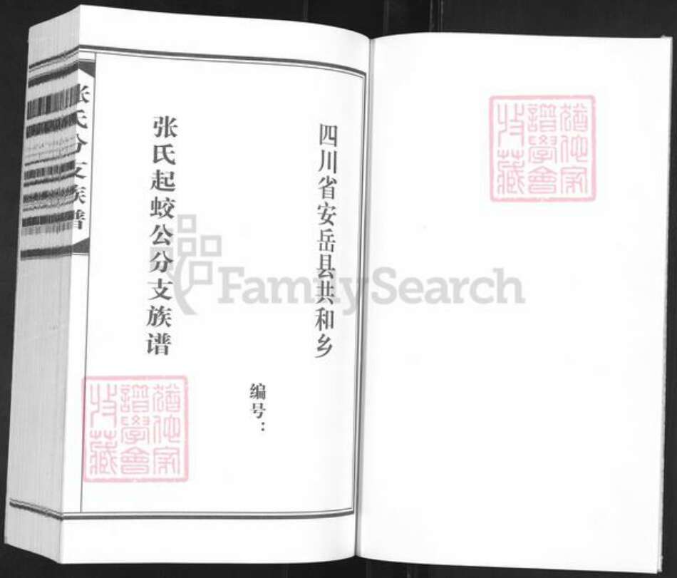 四川省资阳市安岳县协和镇张氏族谱-张氏分支族谱.pdf电子版预览图1