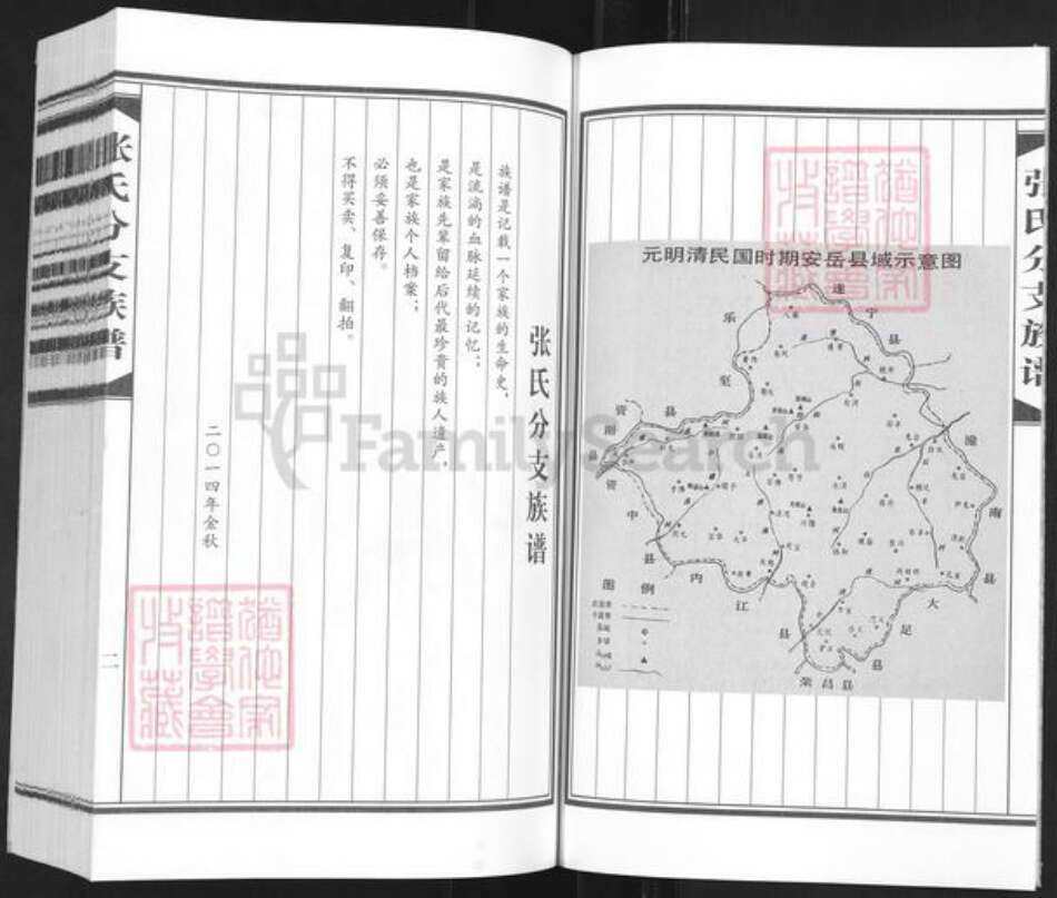 四川省资阳市安岳县协和镇张氏族谱-张氏分支族谱.pdf电子版预览图3