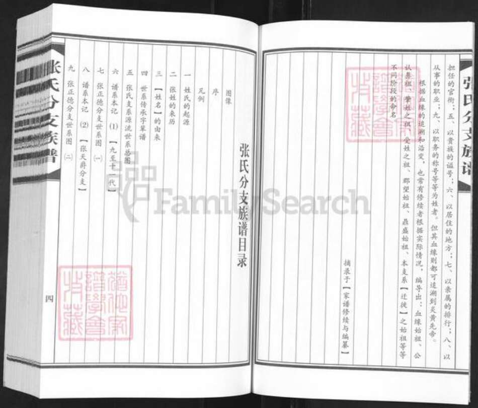 四川省资阳市安岳县协和镇张氏族谱-张氏分支族谱.pdf电子版预览图5