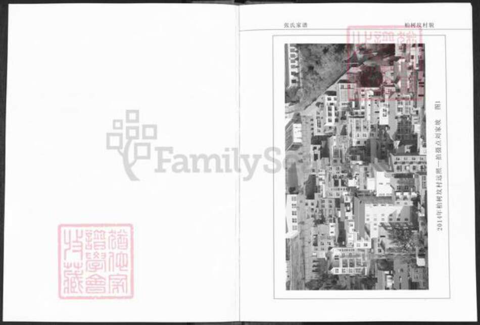 河南省洛阳市栾川县栾川乡张氏族谱-栾川西河柏树坟张氏家谱.pdf电子版预览图2