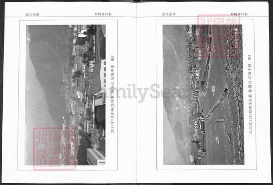 河南省洛阳市栾川县栾川乡张氏族谱-栾川西河柏树坟张氏家谱.pdf电子版预览图4