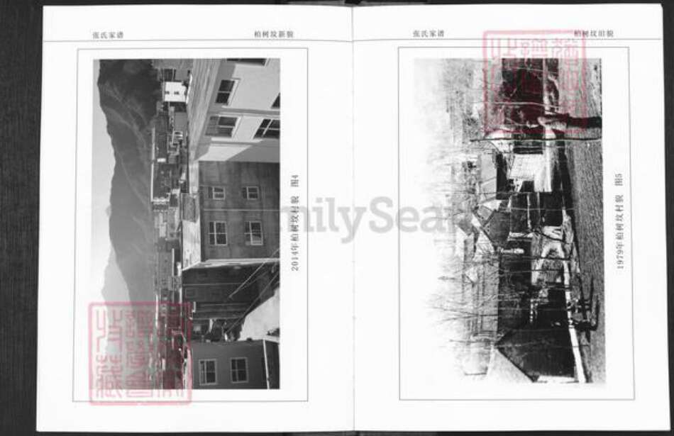 河南省洛阳市栾川县栾川乡张氏族谱-栾川西河柏树坟张氏家谱.pdf电子版预览图5