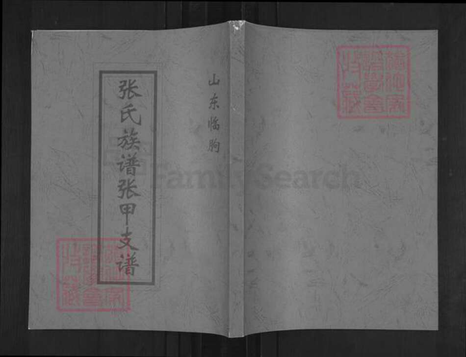 山东省潍坊市临朐县柳山镇张氏族谱-张氏族谱张甲支谱.pdf电子版缩略图