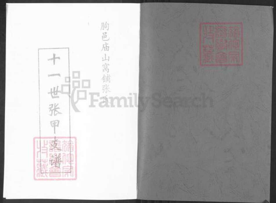 山东省潍坊市临朐县柳山镇张氏族谱-张氏族谱张甲支谱.pdf电子版预览图1