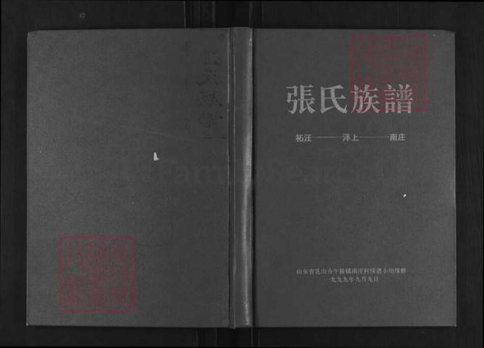 山东省威海市乳山市午极镇张氏族谱-张氏族谱.pdf电子版缩略图