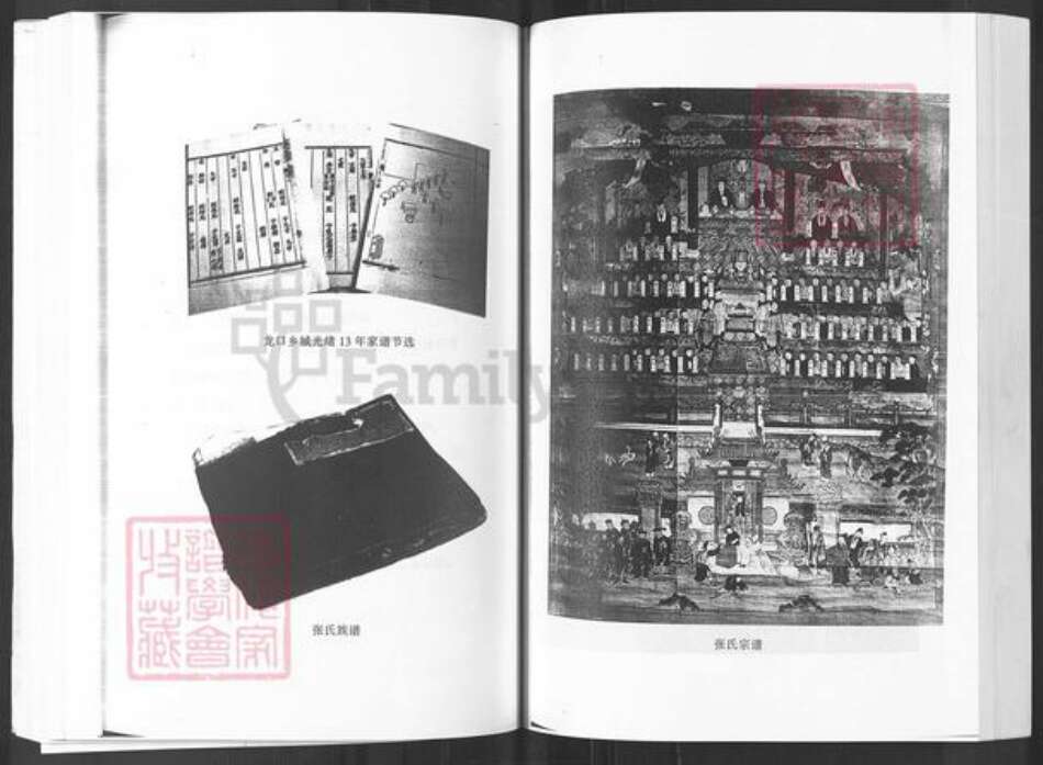 山东省烟台市招远市阜山镇张氏族谱-山东招远馆前张氏家谱.pdf电子版预览图3