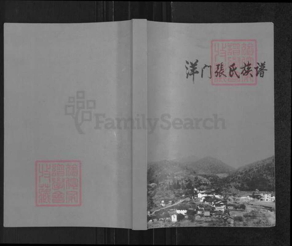 广东省梅州市大埔县茶阳镇张氏族谱-洋门张氏族谱.pdf电子版缩略图