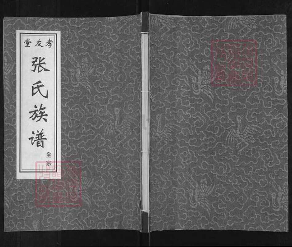 江苏省徐州市睢宁县魏集镇张氏孝友堂族谱-张氏族谱.pdf电子版缩略图