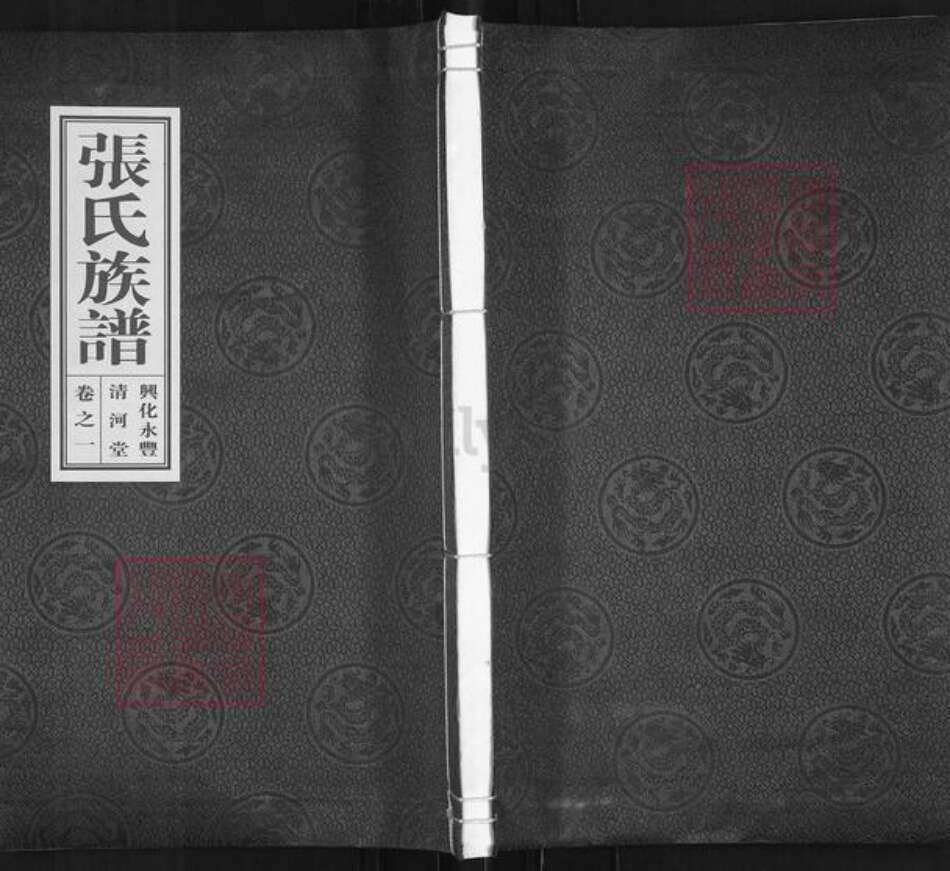 江苏省泰州市兴化市永丰镇张氏清河堂族谱-兴华永丰张氏族谱.pdf电子版缩略图