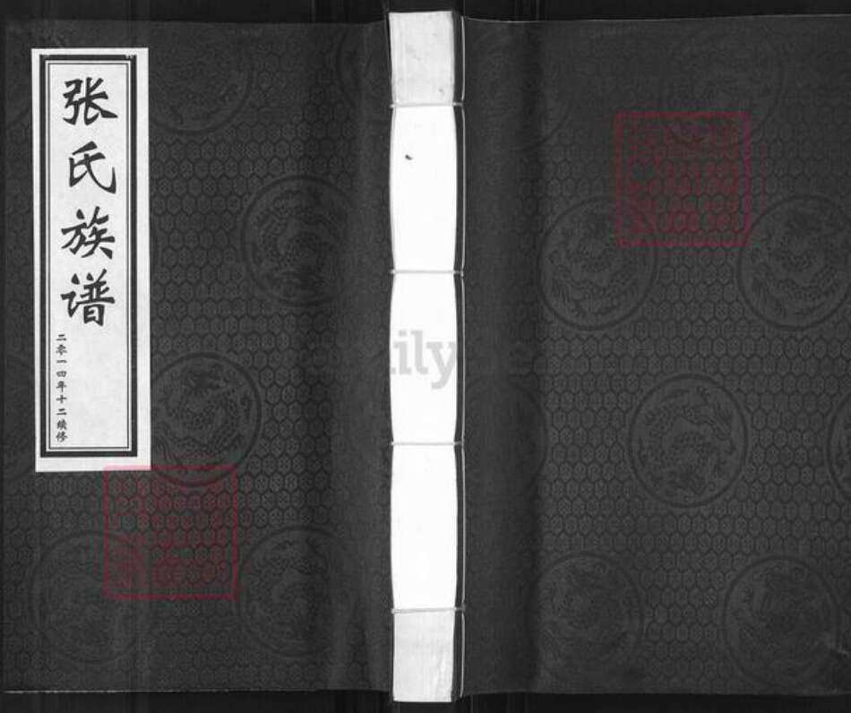 河北省沧州东光县于桥乡张氏族谱-张氏族谱.pdf电子版缩略图