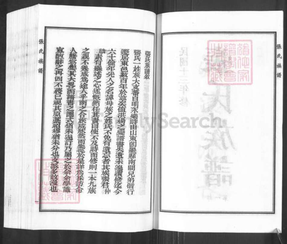 河北省沧州东光县于桥乡张氏族谱-张氏族谱.pdf电子版预览图3