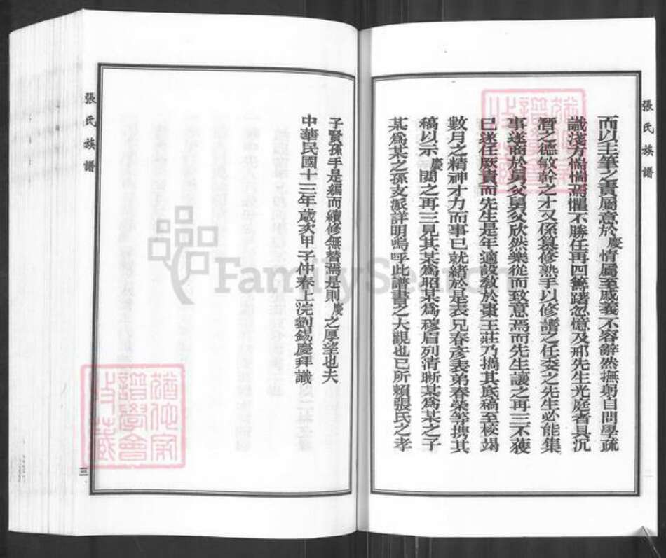 河北省沧州东光县于桥乡张氏族谱-张氏族谱.pdf电子版预览图5