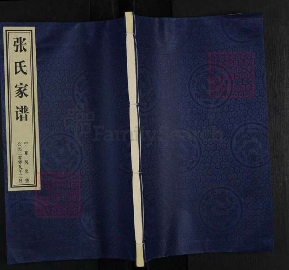 宁夏回族自治区吴忠市利通区张氏族谱-张氏家谱.pdf电子版缩略图