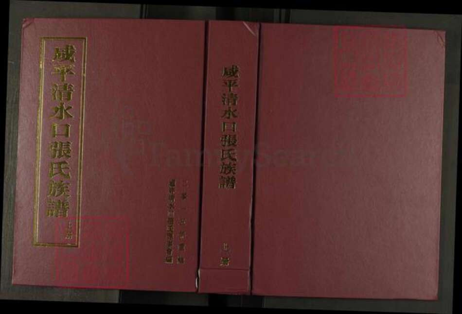 河南省开封市通许县张氏族谱-咸平清水口张氏族谱.pdf电子版缩略图