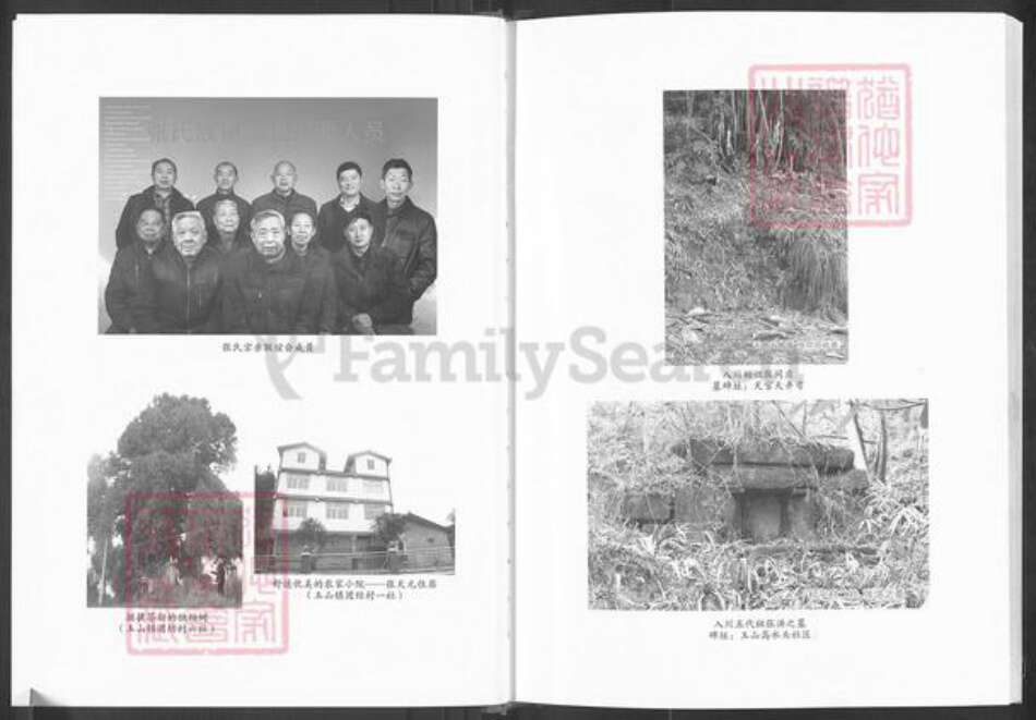 四川省巴中市恩阳区玉山镇张氏百忍堂族谱-张氏房谱.pdf电子版预览图5