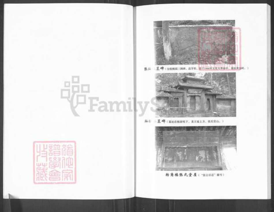 四川省巴中市平昌县张氏百忍堂族谱-张氏家谱.转角楼.pdf电子版预览图5