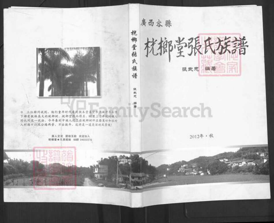 广西壮族自治区玉林容县张氏桄榔堂族谱-桄榔堂张氏族谱.pdf电子版缩略图