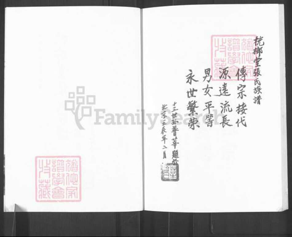 广西壮族自治区玉林容县张氏桄榔堂族谱-桄榔堂张氏族谱.pdf电子版预览图2