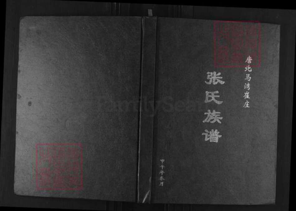 河南省南阳市唐河县源潭镇张氏族谱-唐北马湾崔庄张氏族谱.pdf电子版缩略图